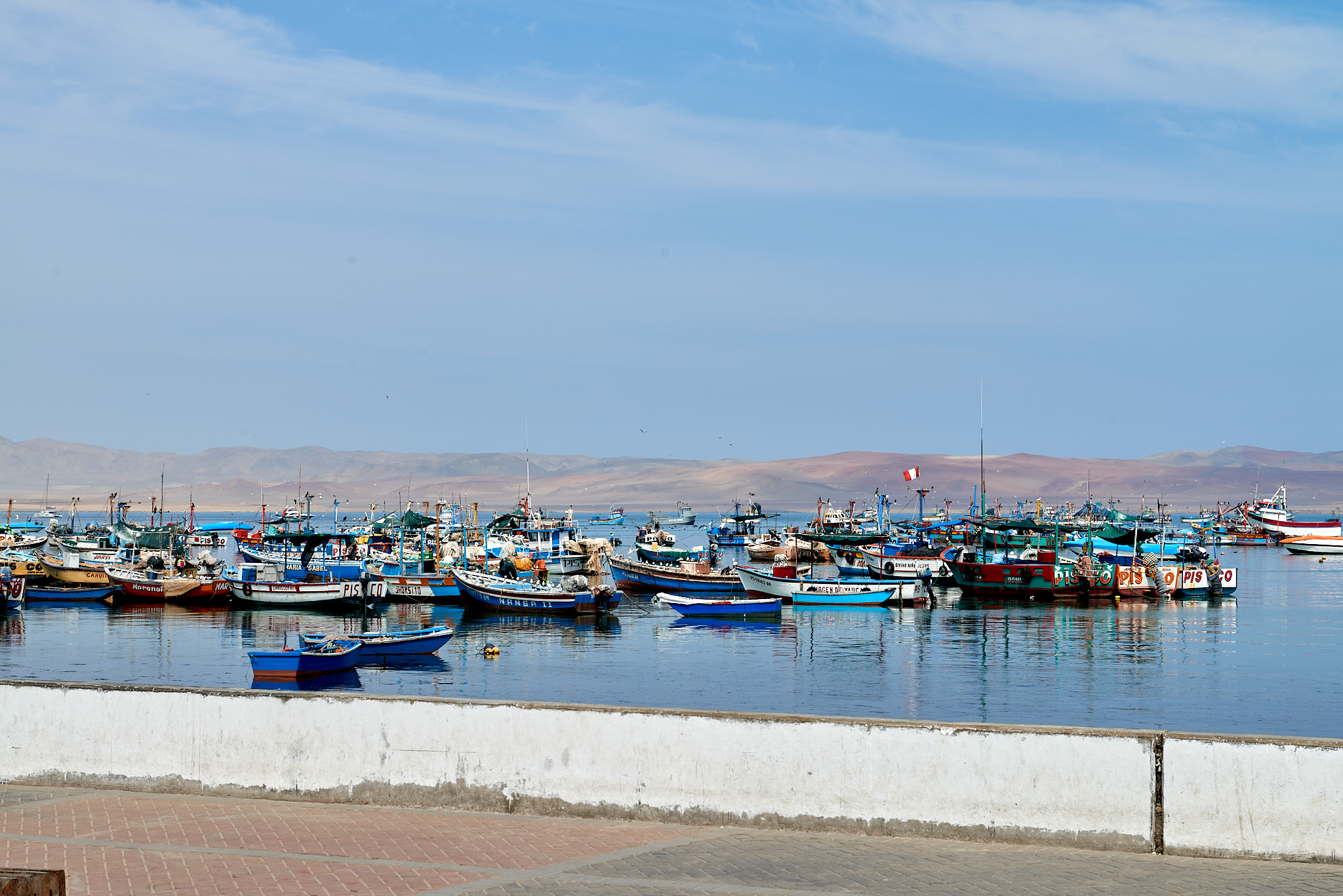 20200304 082 [페루] 바예스타섬